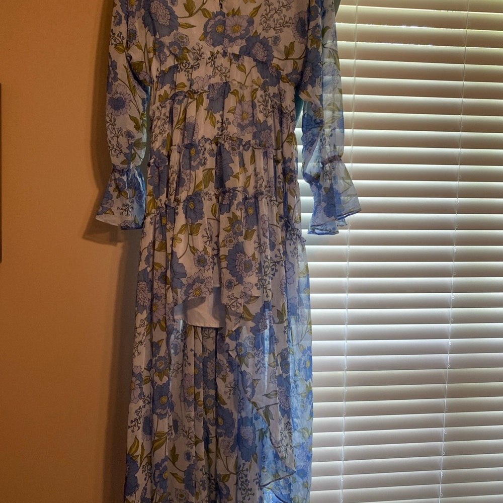 Floral Blue and White Dress